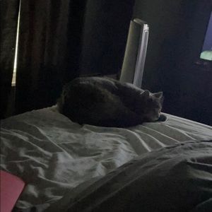 Meet your Posher, Tammy